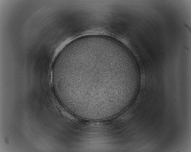 X0000100471366200807031817