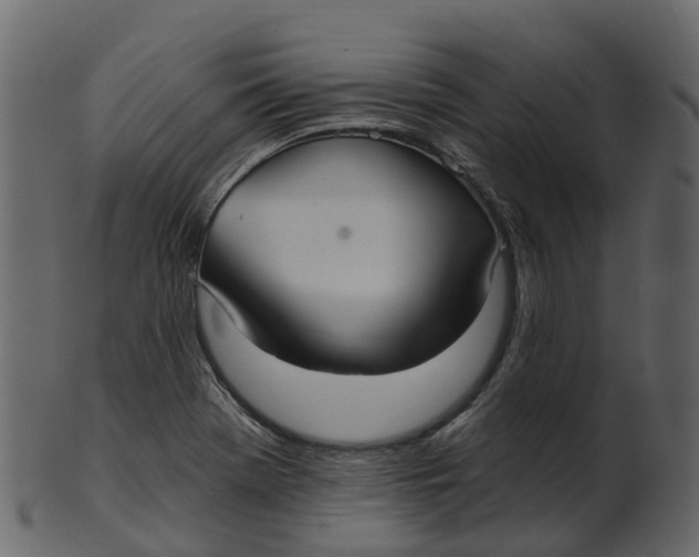 X0000100471369200807031817