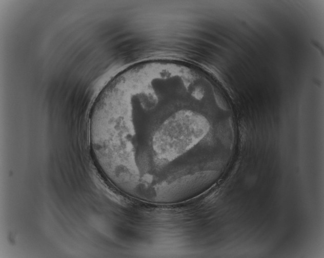 X0000100471371200807031817