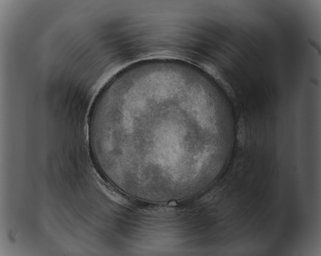 X0000100471372200807031817