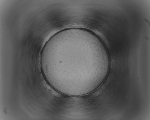 X0000100471374200807031817