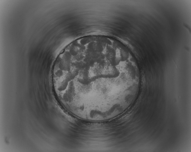 X0000100471375200807031817