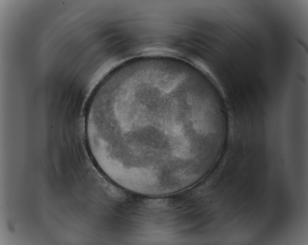 X0000100471376200807031817