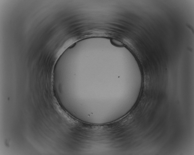 X0000100471378200807031817