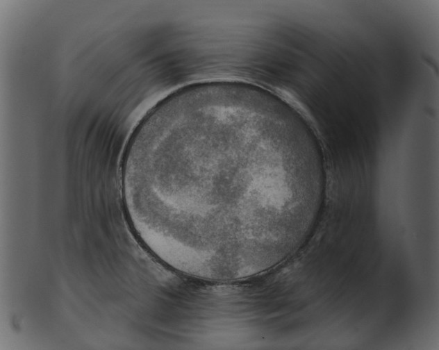 X0000100471380200807031817