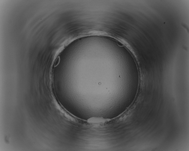 X0000100471381200807031817