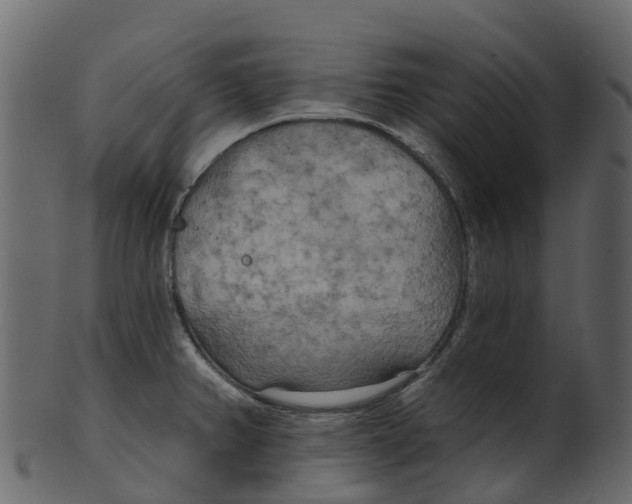 X0000100471382200807031817