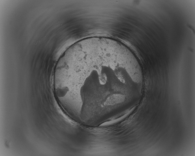 X0000100471383200807031817