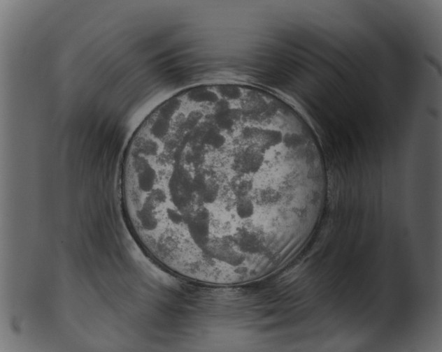 X0000100471387200807031817