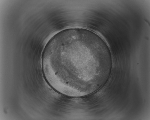 X0000100471388200807031817