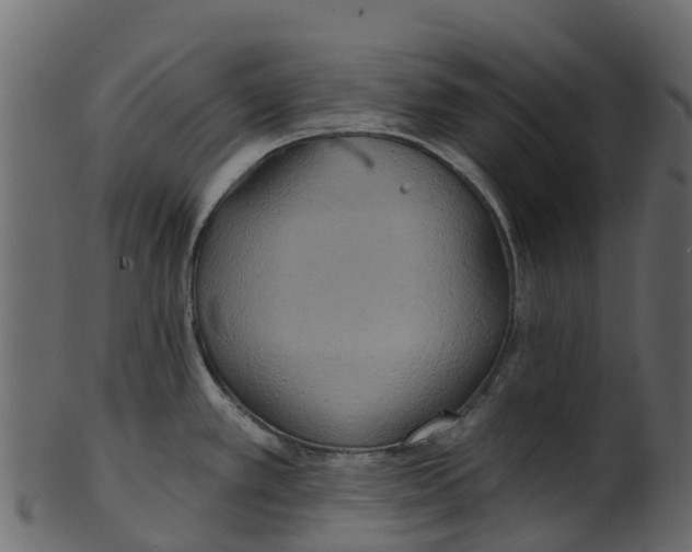 X0000100471389200807031817