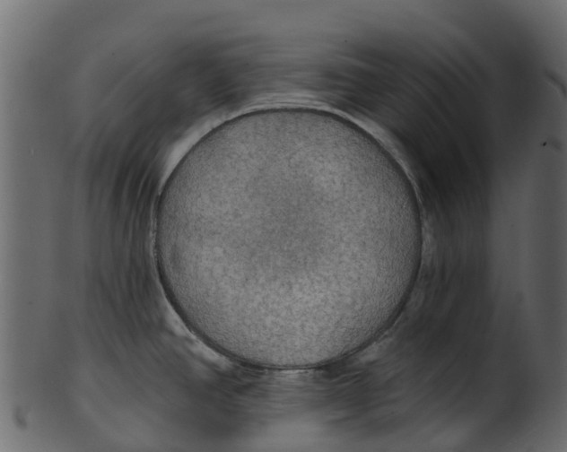 X0000100471390200807031817