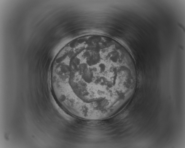 X0000100471391200807031817