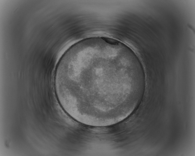 X0000100471392200807031817