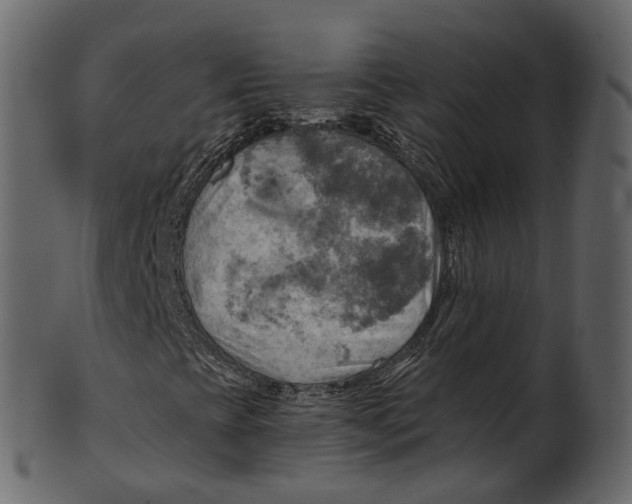 X0000100471393200807031816