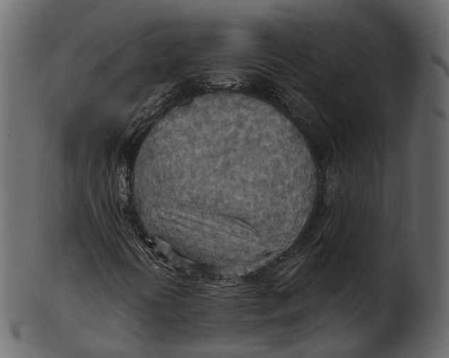 X0000100471394200807031816