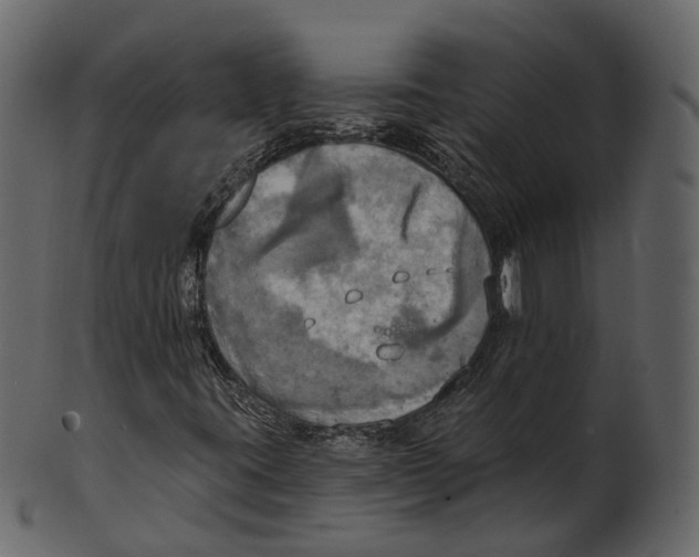 X0000100471395200807031816