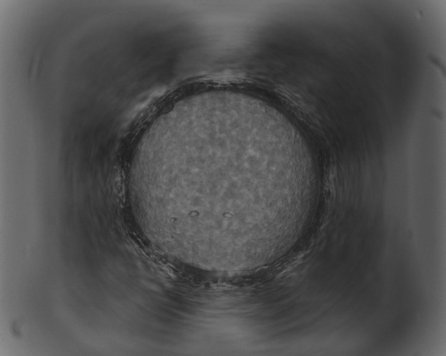 X0000100471398200807031816