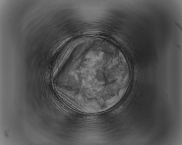 X0000100471401200807031816