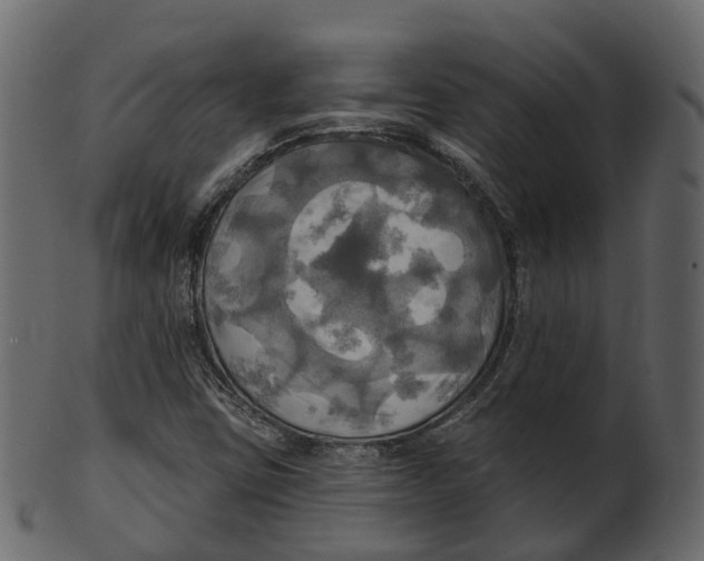 X0000100471403200807031816