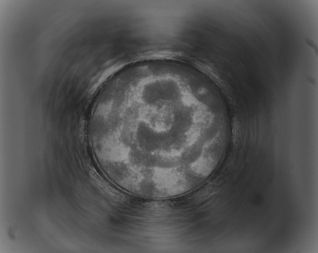 X0000100471404200807031816