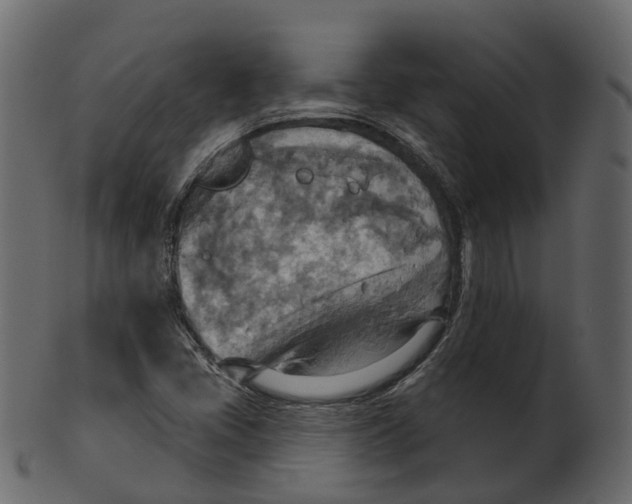 X0000100471405200807031816