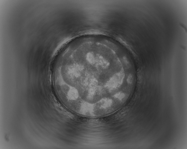 X0000100471408200807031816