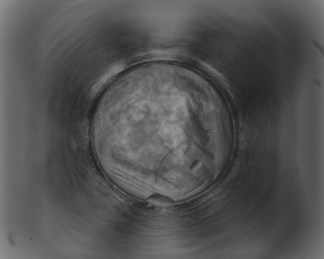 X0000100471411200807031816