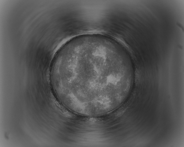 X0000100471412200807031816