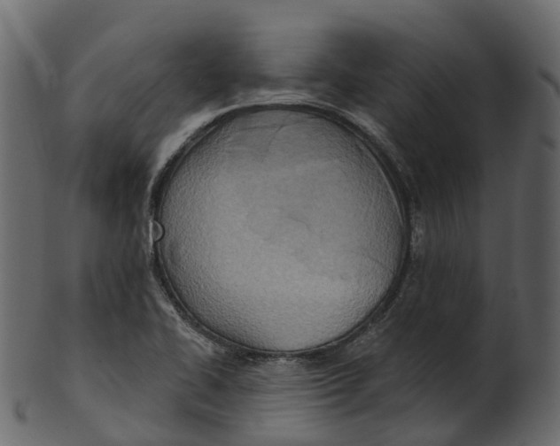 X0000100471414200807031816