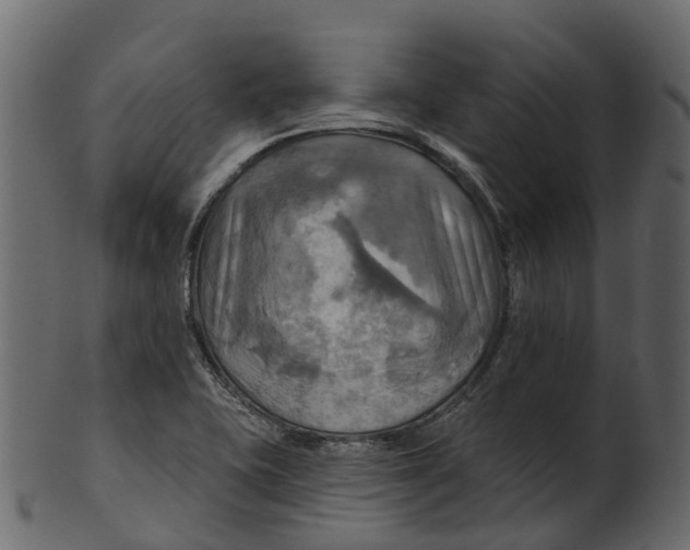 X0000100471415200807031816