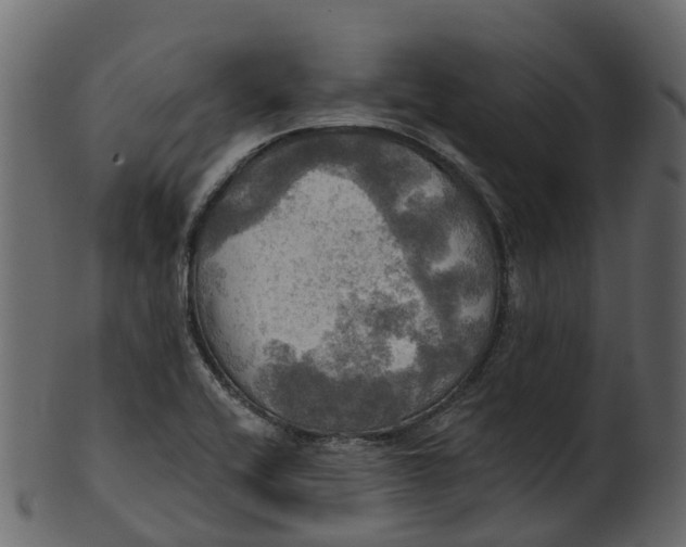 X0000100471416200807031817