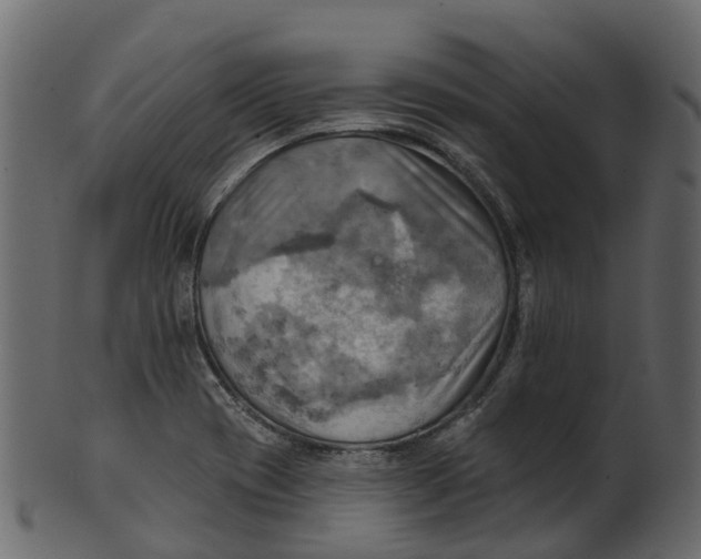 X0000100471417200807031817