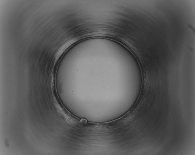 X0000100471418200807031817