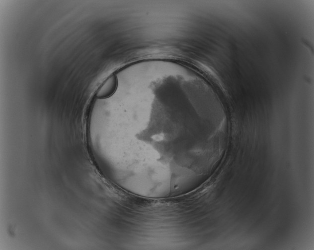 X0000100471419200807031817