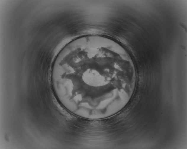 X0000100471421200807031817