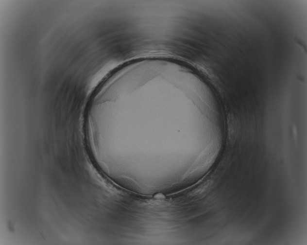 X0000100471422200807031817