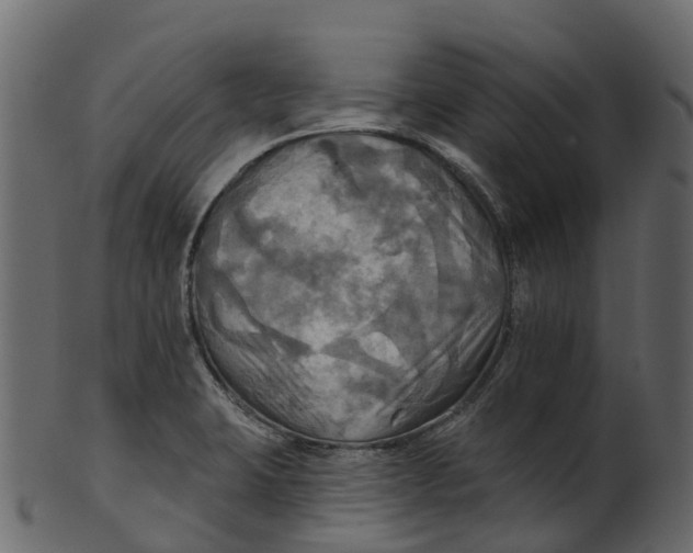 X0000100471423200807031817