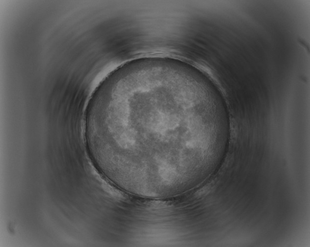 X0000100471424200807031817