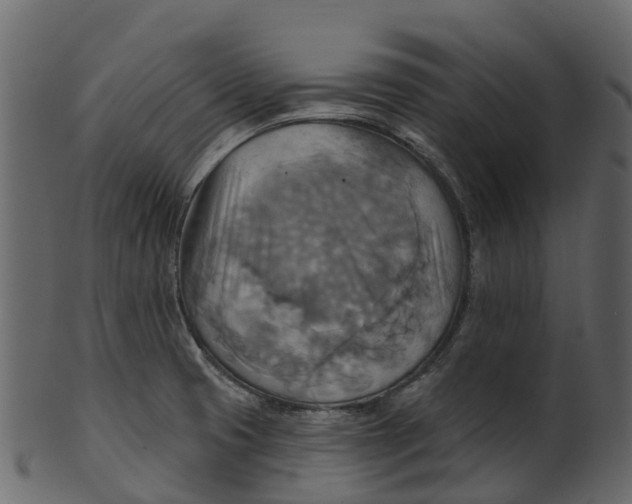 X0000100471425200807031817