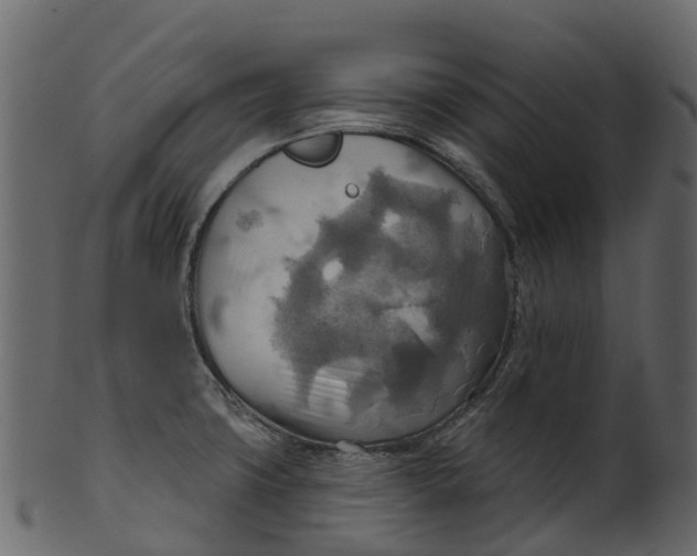 X0000100471427200807031817