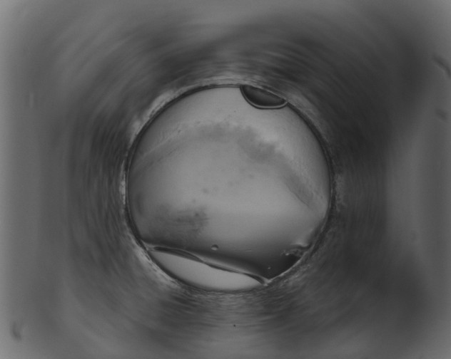 X0000100471428200807031817