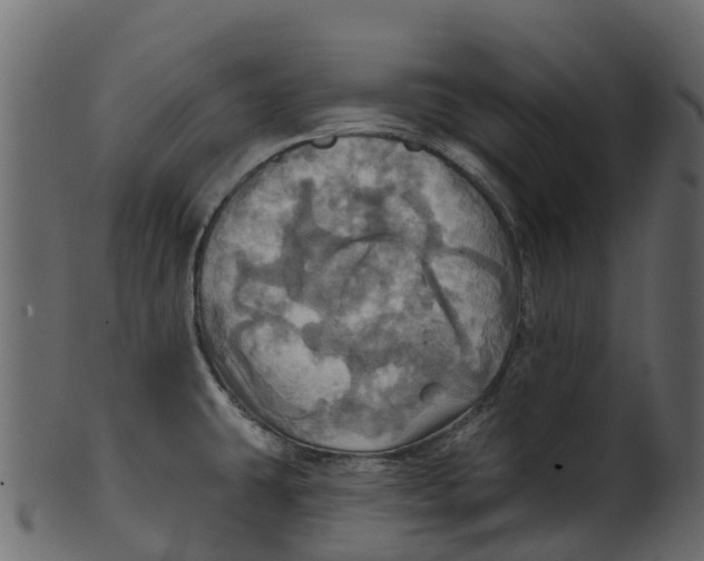 X0000100471431200807031817