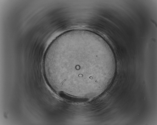 X0000100471432200807031817