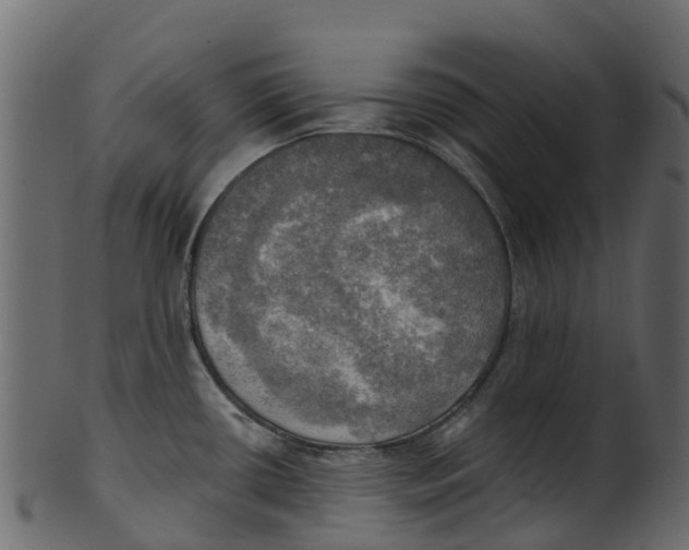 X0000100471434200807031817