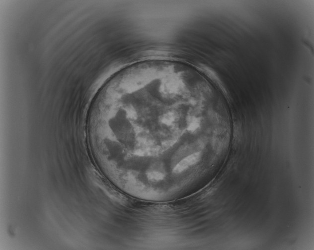 X0000100471435200807031817