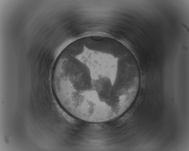 X0000100471438200807031817