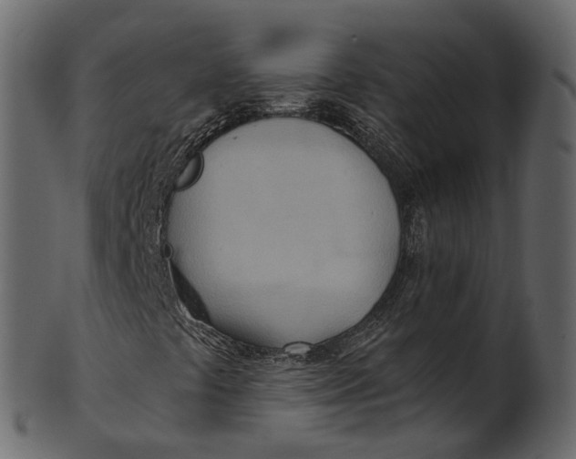 X0000100471441200807031816