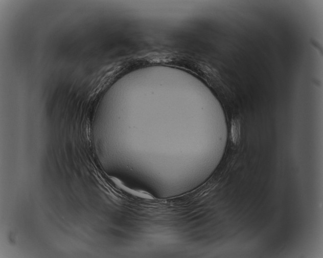 X0000100471444200807031816