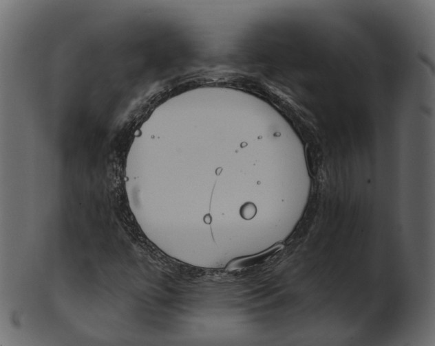 X0000100471447200807031816